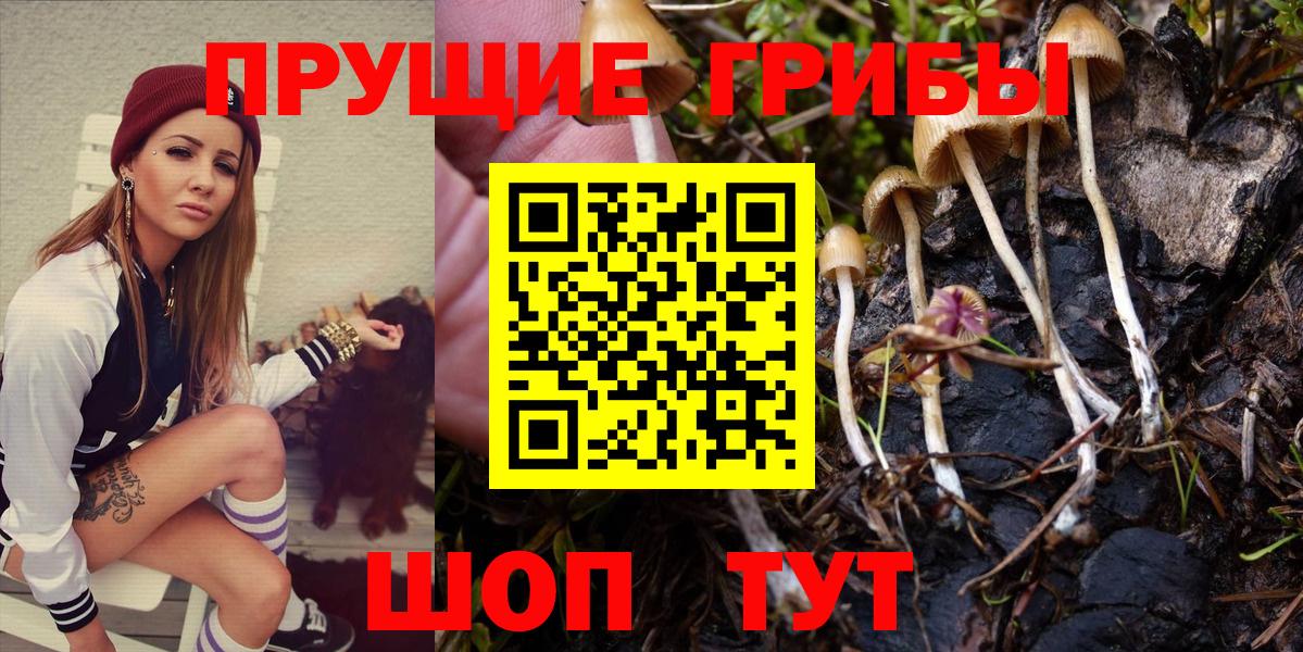 Галлюциногенные грибы Psilocybe  Вход с VPN  Петровск 